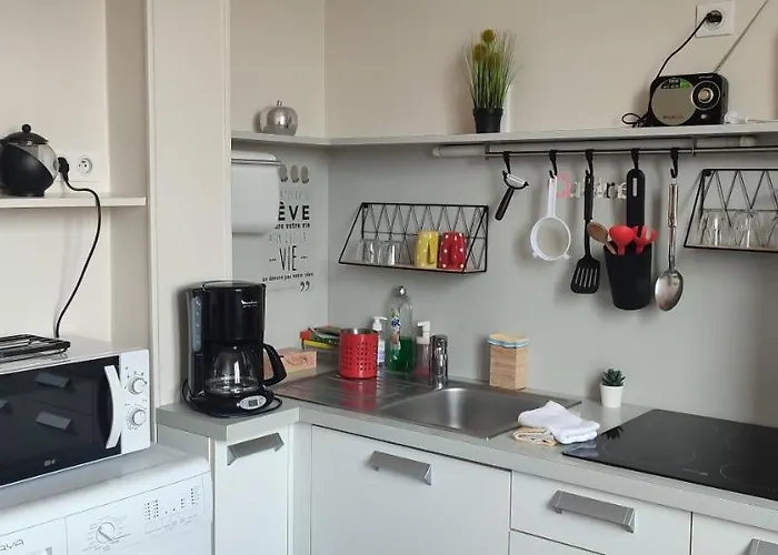 Apartamento Les Cocons Avec Balcon